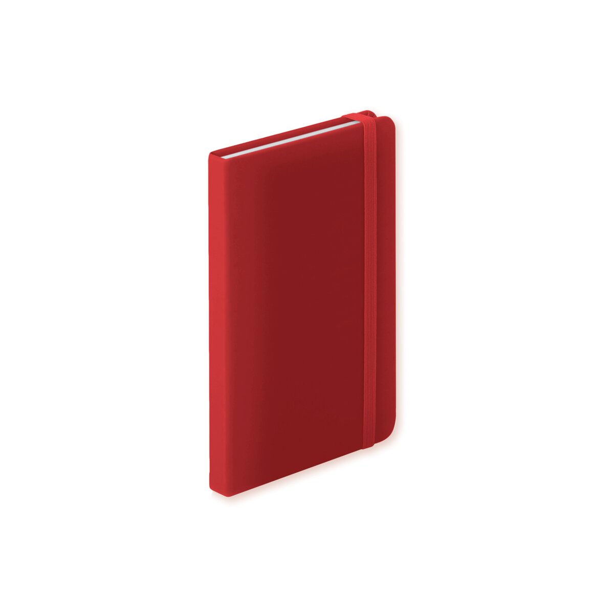 Ciluxlin - notes AP781195-05