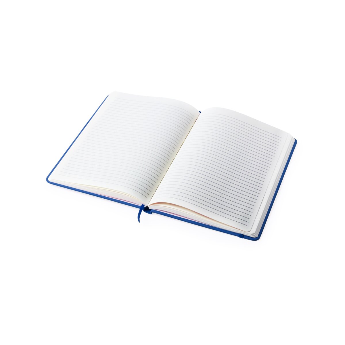 Ciluxlin - notes AP781195-06