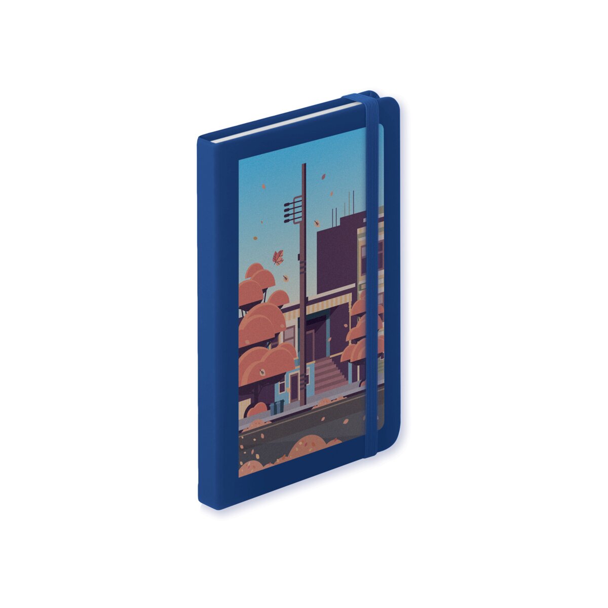 Ciluxlin - notes AP781195-06