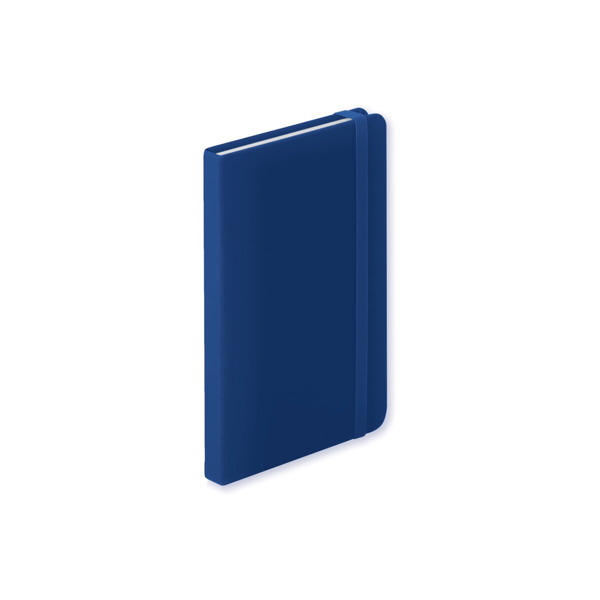 Ciluxlin - notes AP781195-06