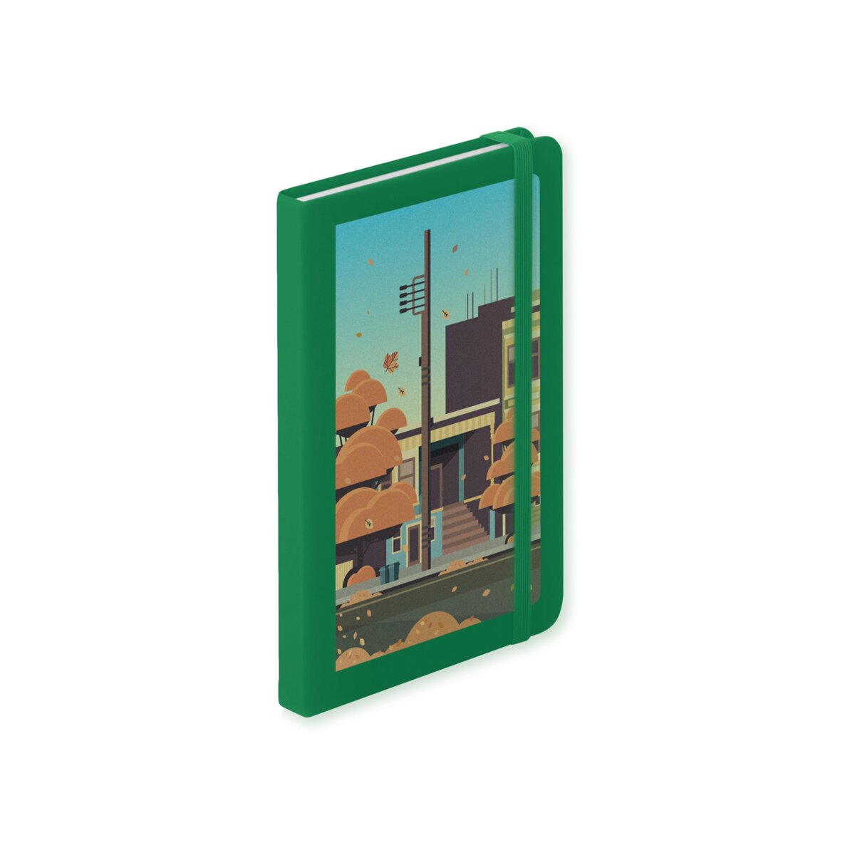 Ciluxlin - notes AP781195-07