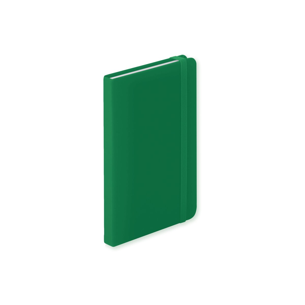 Ciluxlin - notes AP781195-07