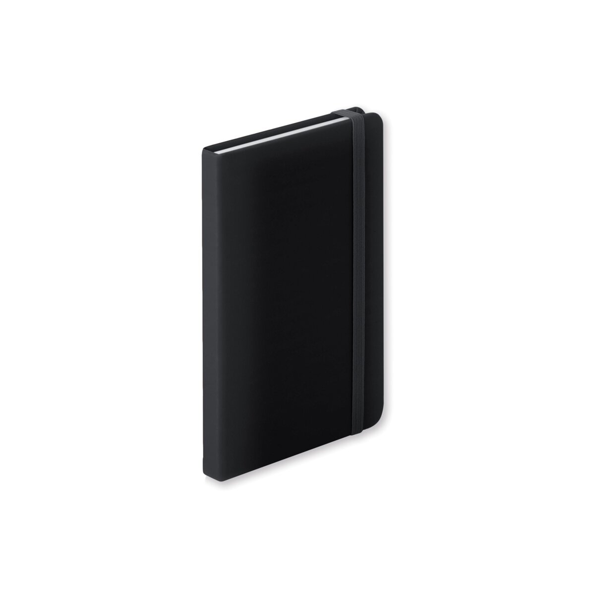 Ciluxlin - notes AP781195-10