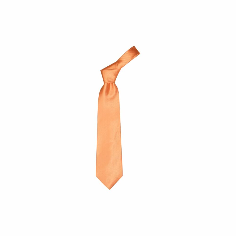 Colours - krawat AP1222-03