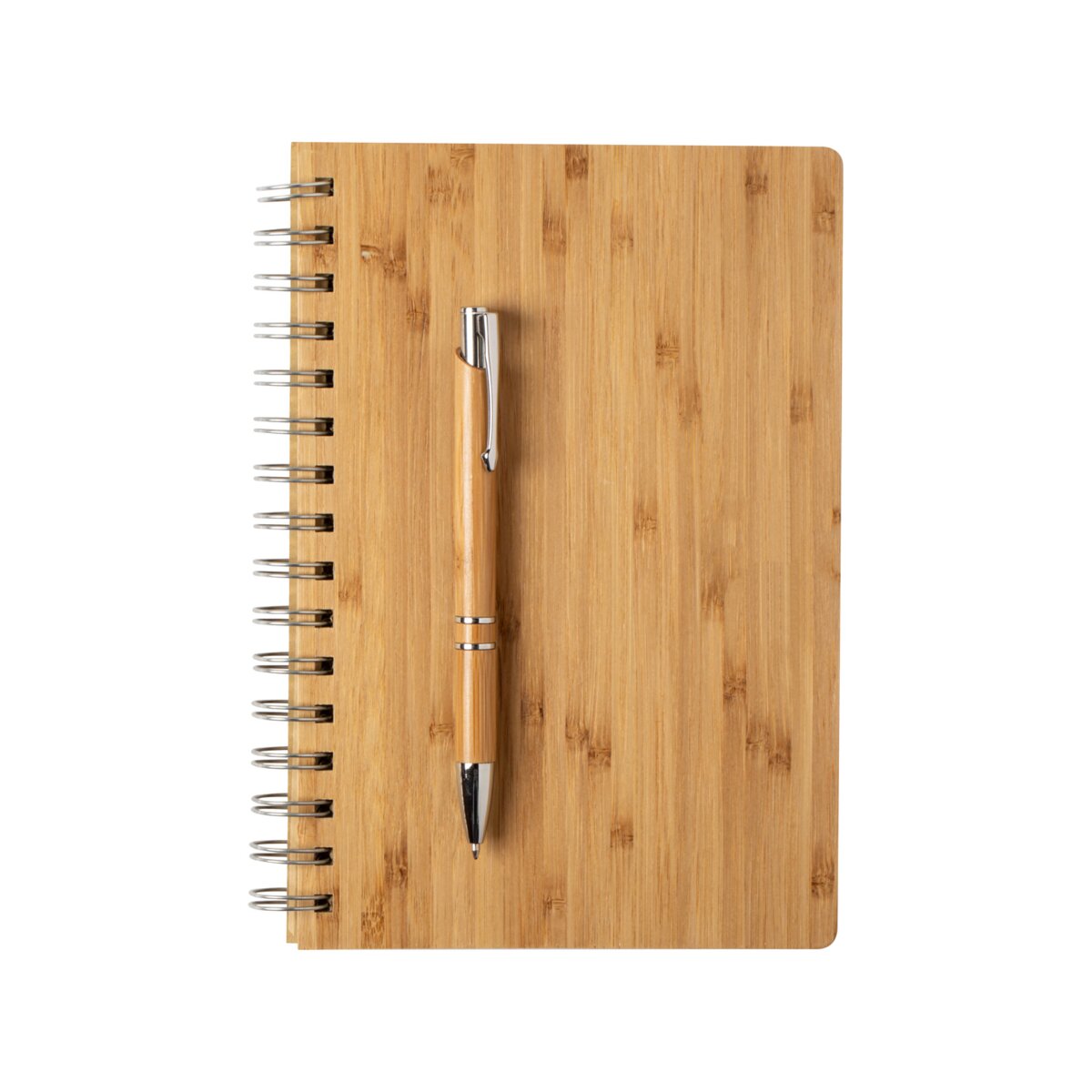 Hecan - notes AP721489