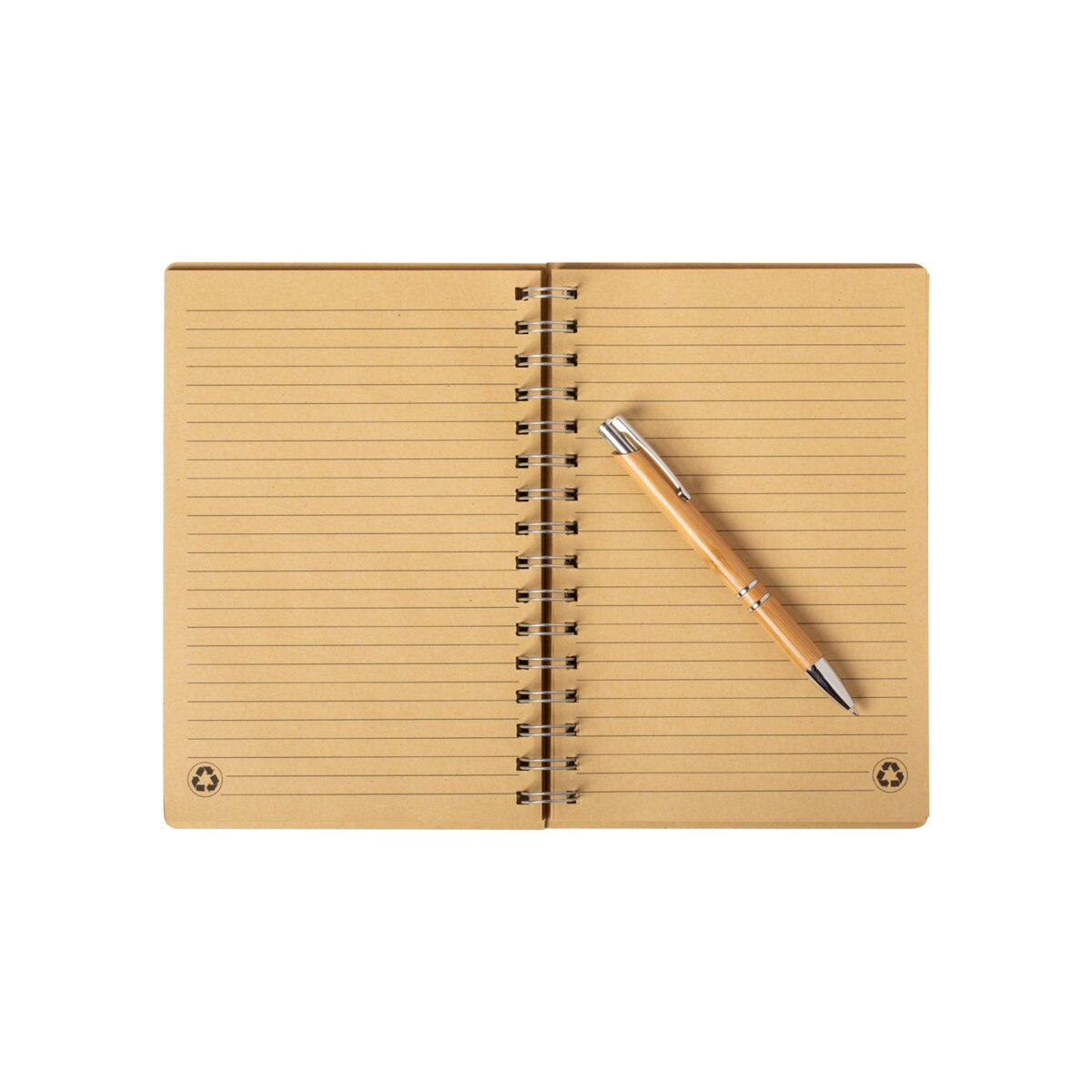 Hecan - notes AP721489