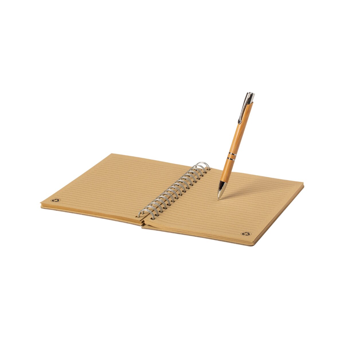 Hecan - notes AP721489