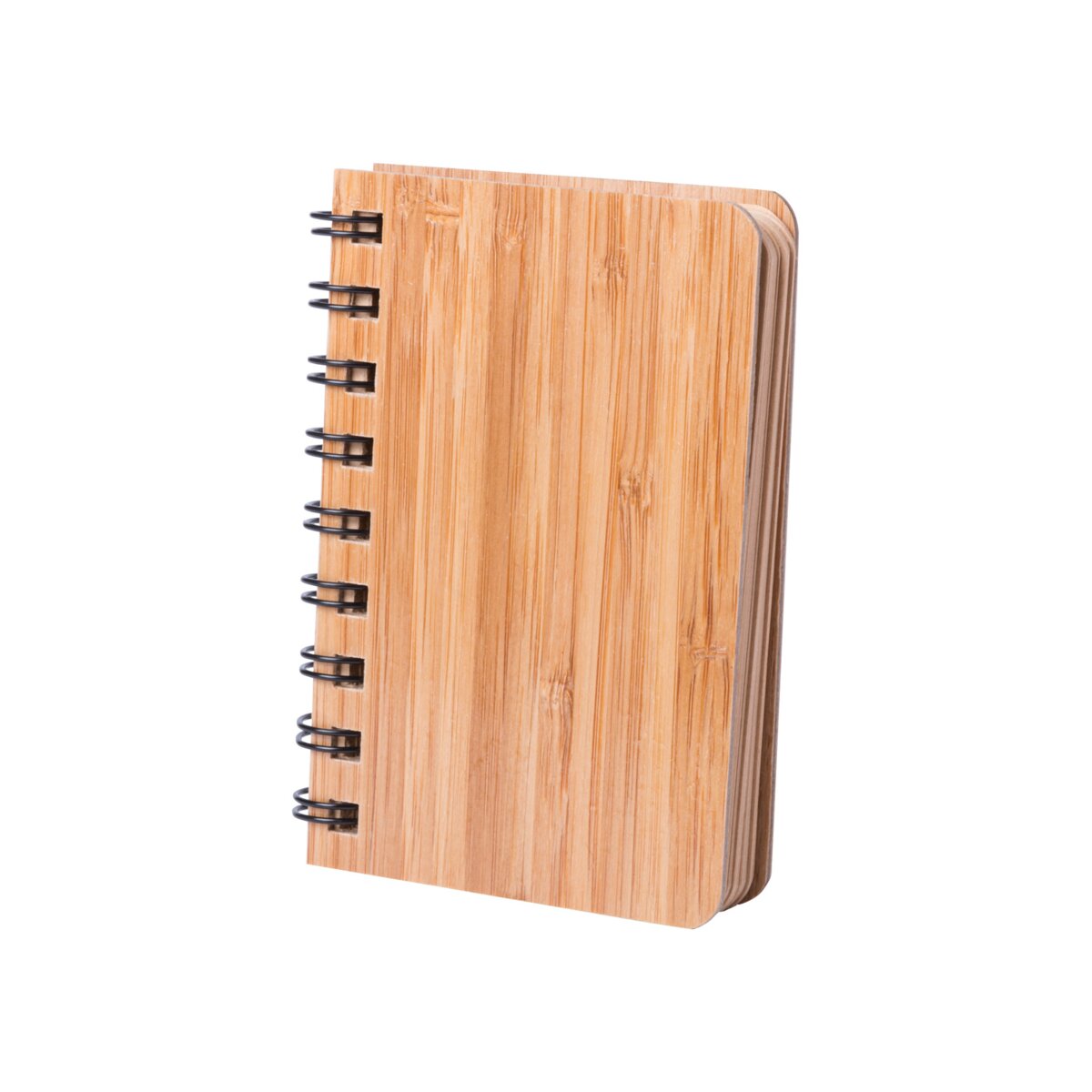 Lemtun - notes AP721128