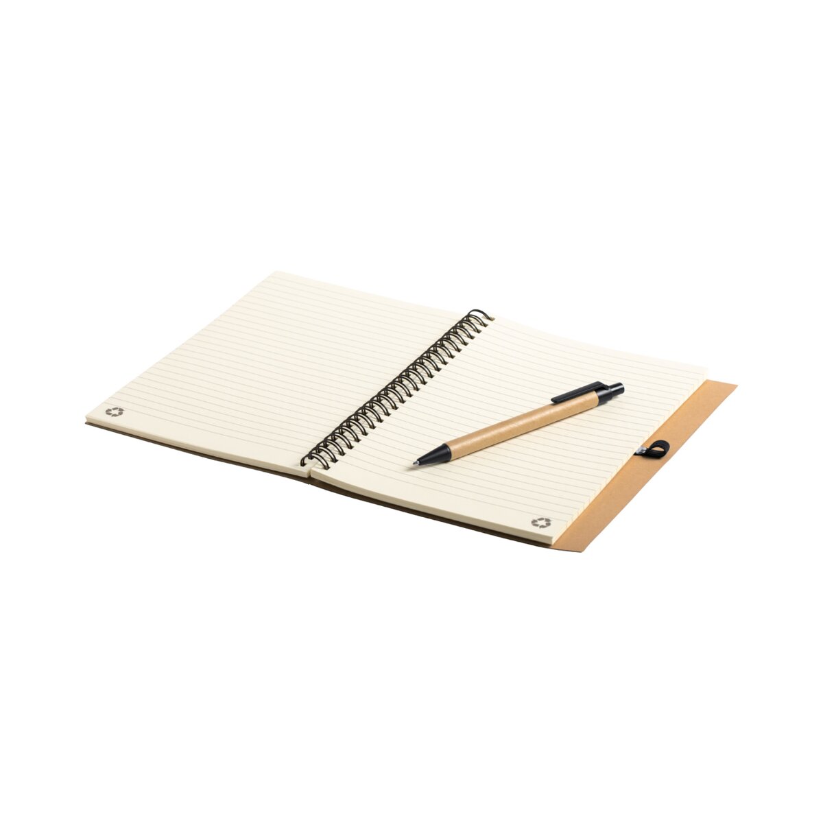 Neyla - notes AP721490