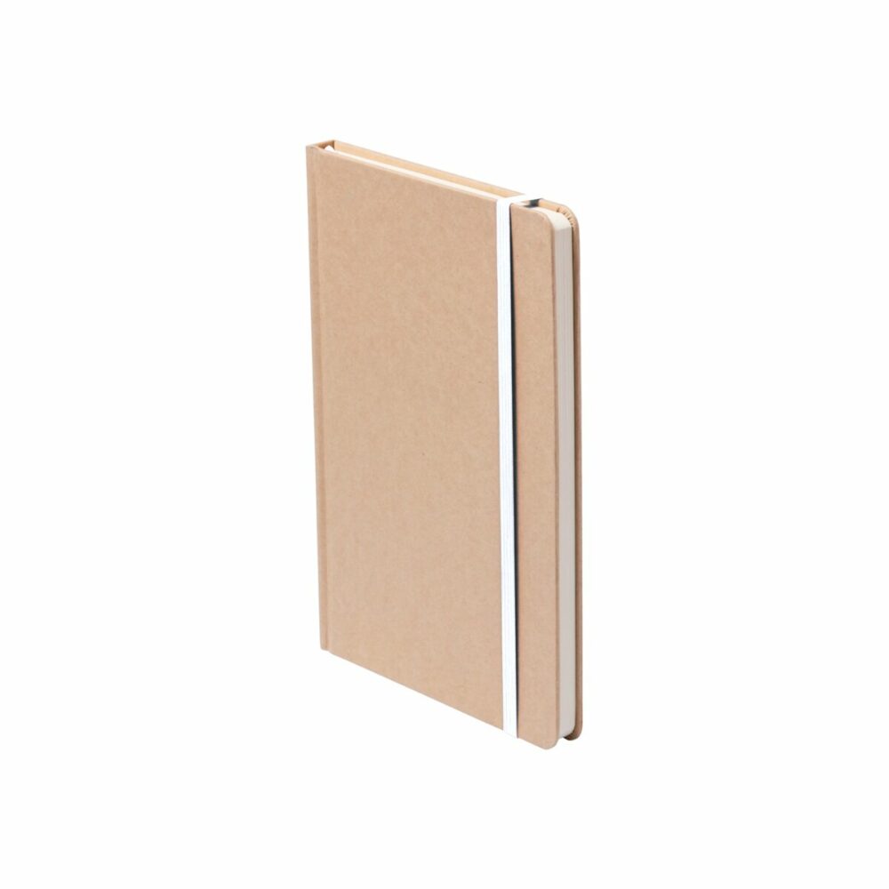 Raimok - notes AP781196-01