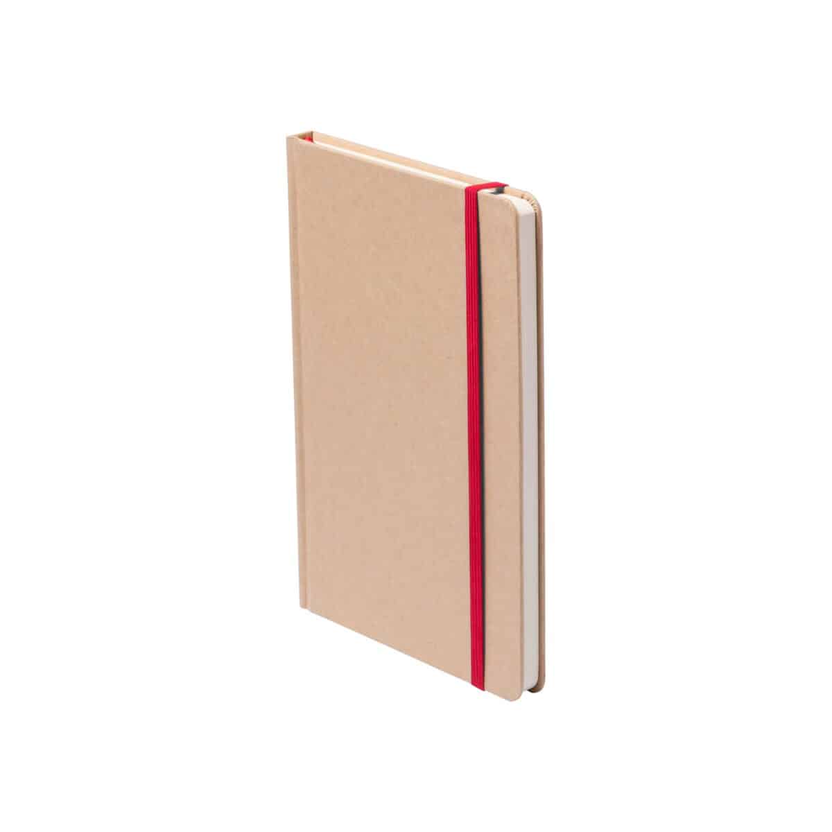 Raimok - notes AP781196-05