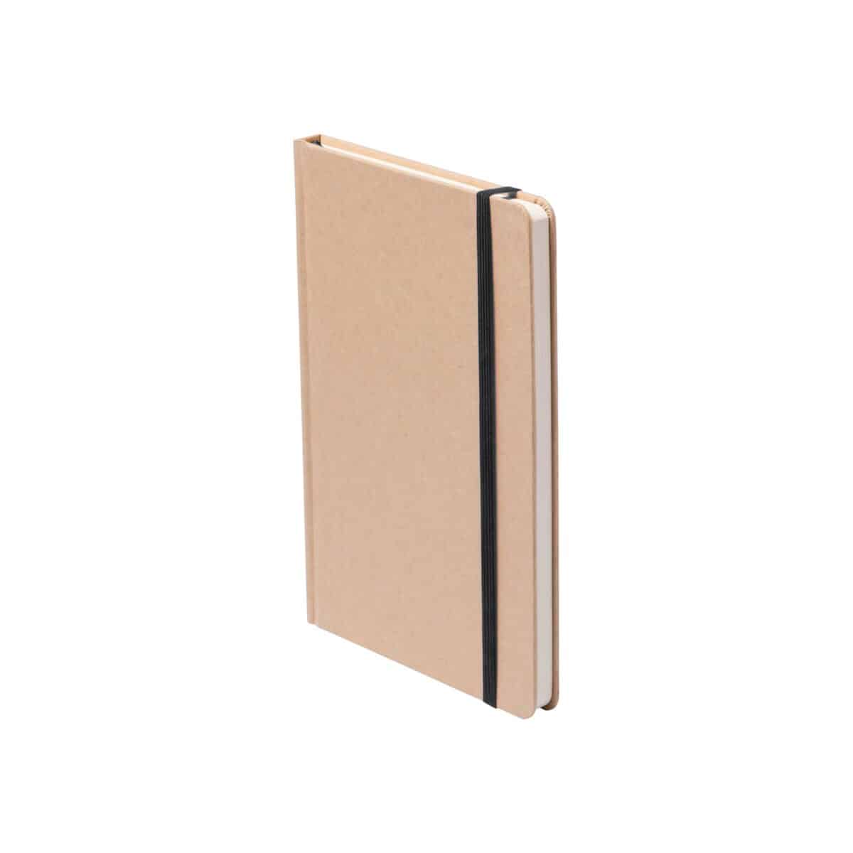 Raimok - notes AP781196-10