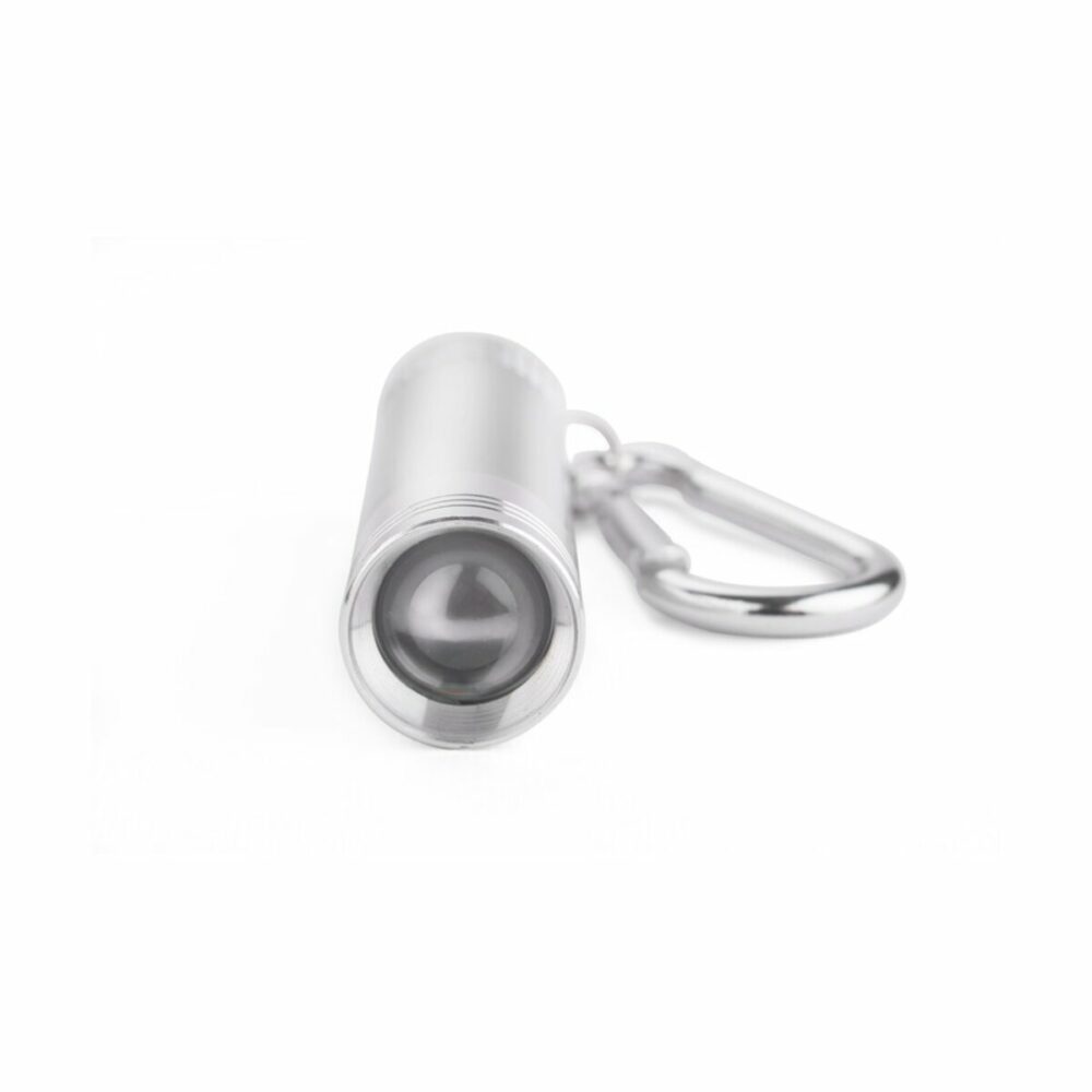 Brelok latarka DINLEY ASG-29155-00