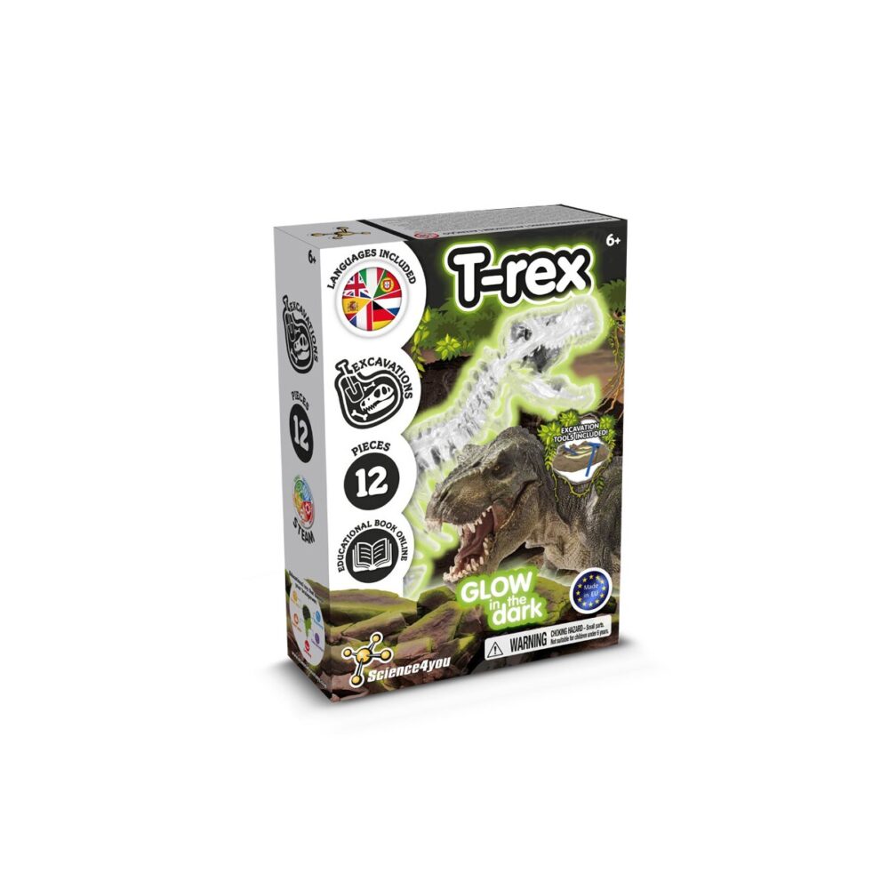 Fossil Excavation Kit I Gra edukacyjna dla dzieci