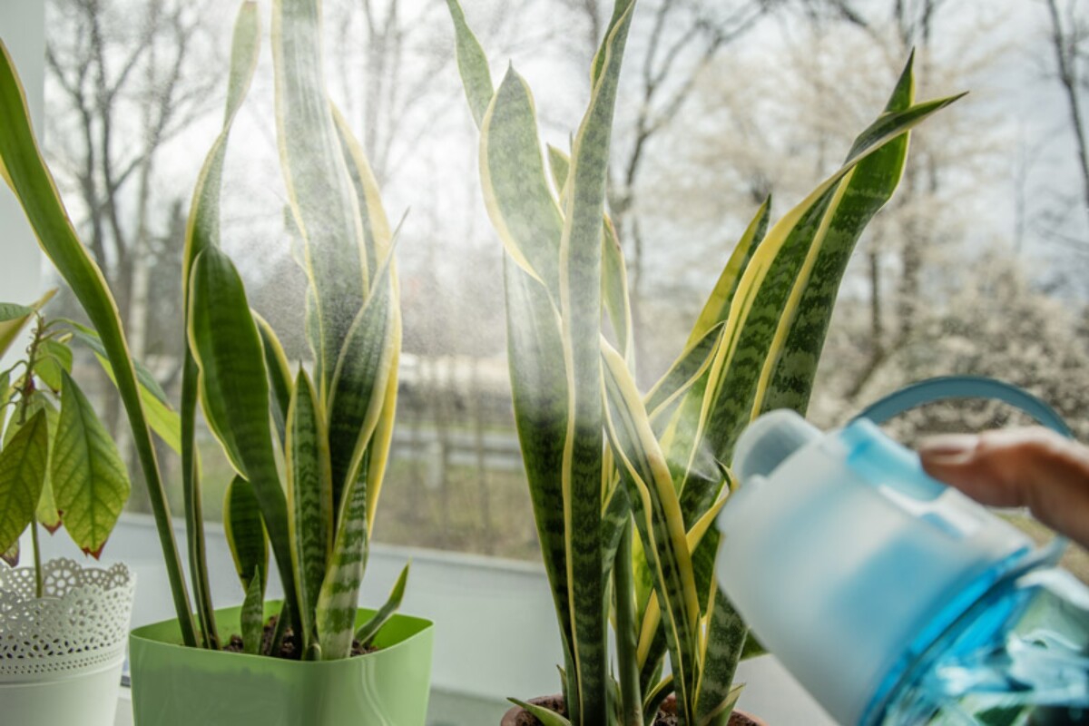 Bidon ze zraszaczem SPRAY 600 ml 16234-03_l