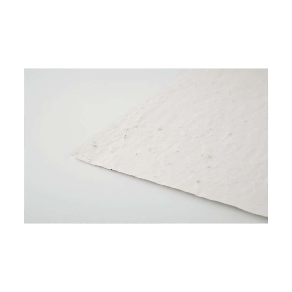 Arkusz A4 z nasionami kwiatów ASIDI mo6914-06-top