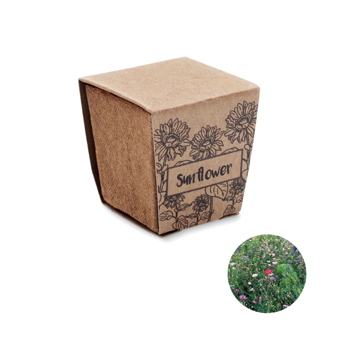 Zestaw do uprawy słonecznika SUNFLOWER KIT mo2411-13