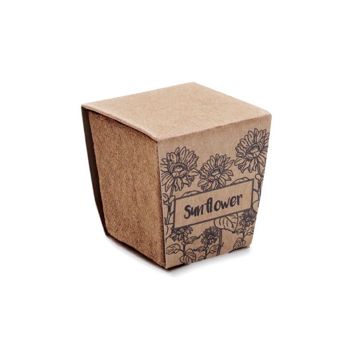 Zestaw do uprawy słonecznika SUNFLOWER KIT mo2411-13-picture3