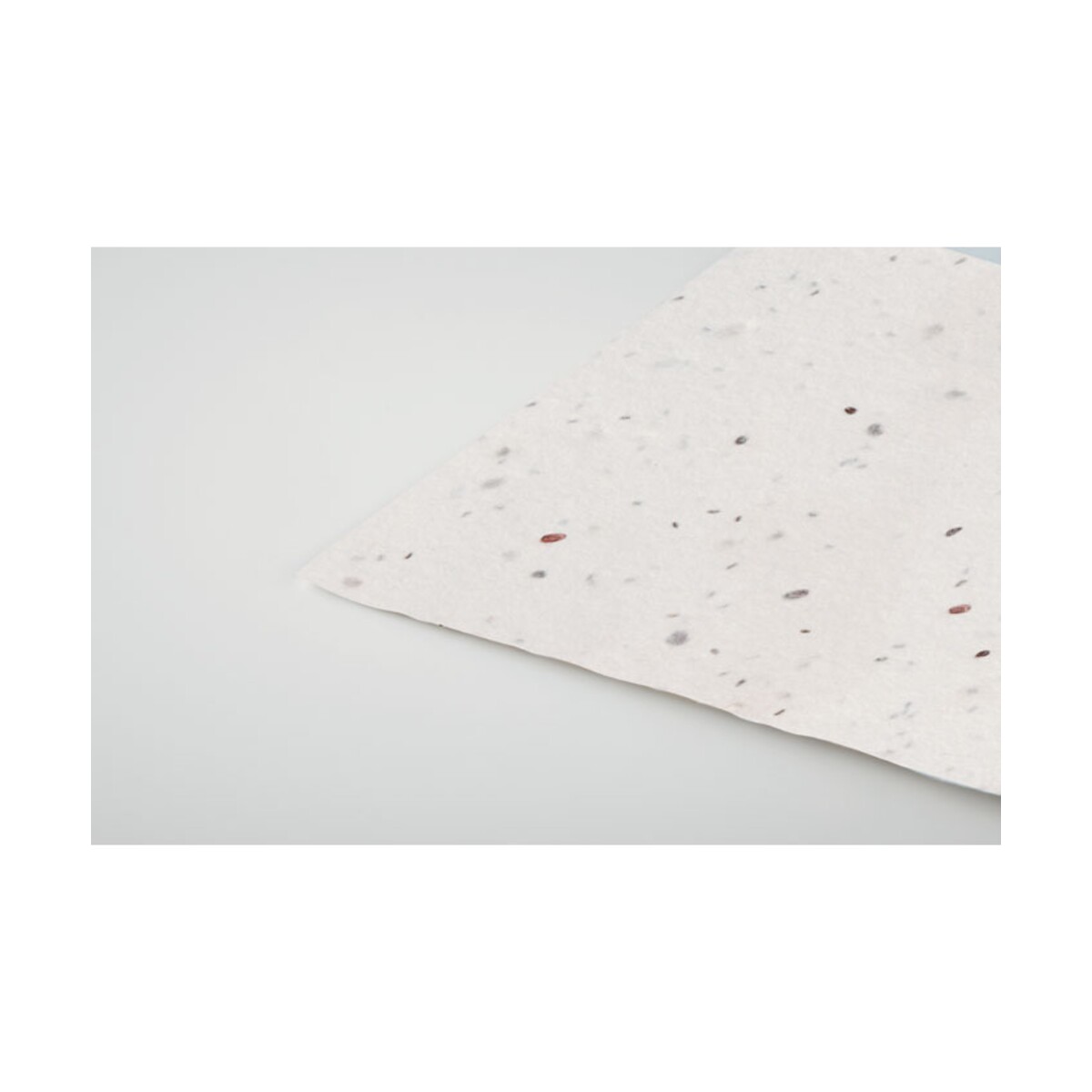 Wizytówka z nasionami dzikich k ASIDA mo2993-06-detail