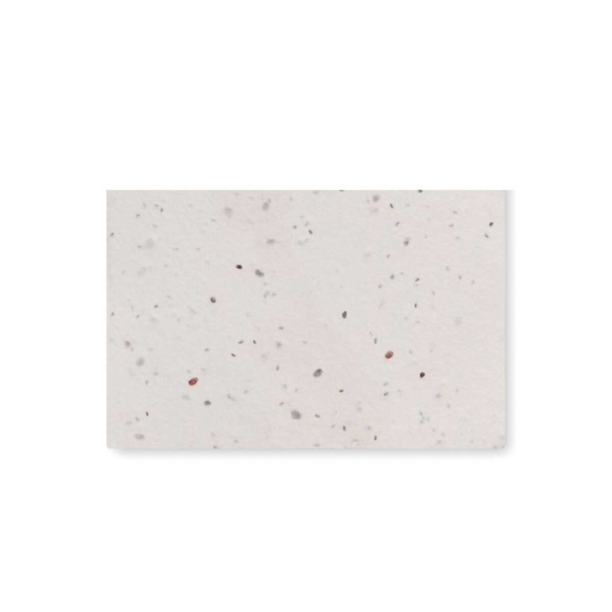 Wizytówka z nasionami dzikich k ASIDA mo2993-06