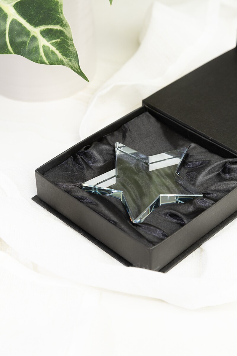 Crystar trofeum gwiazda AP800260__DG