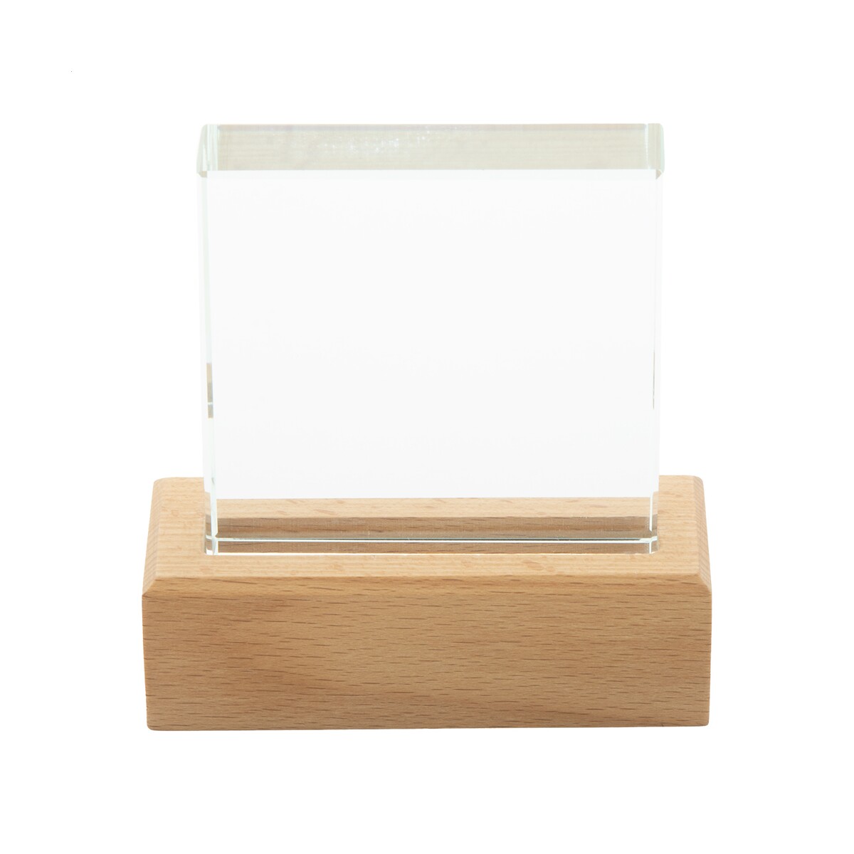 Rectofi Trofeum AP808551__B