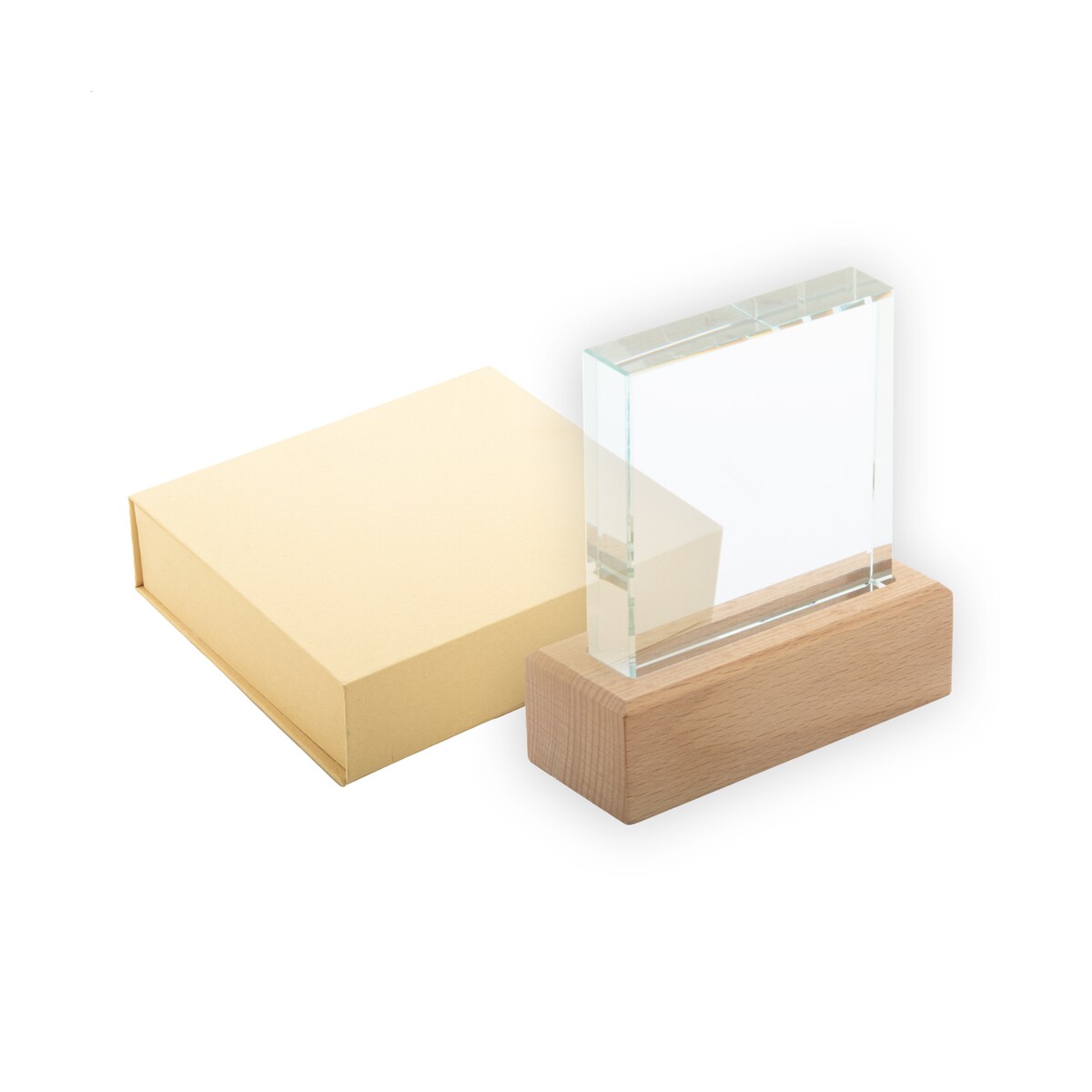 Rectofi Trofeum AP808551__E