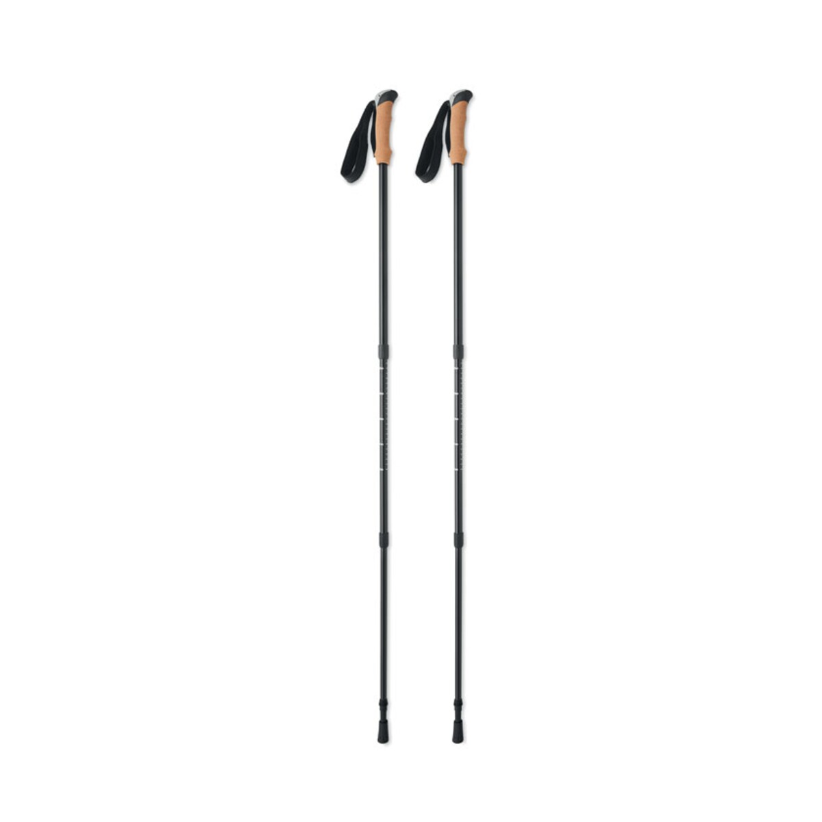Kijki do nordic walking NOLE mo2363-03-open