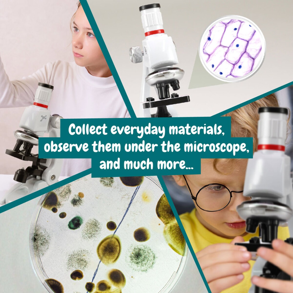 MICROSCOPE 35865_100-f