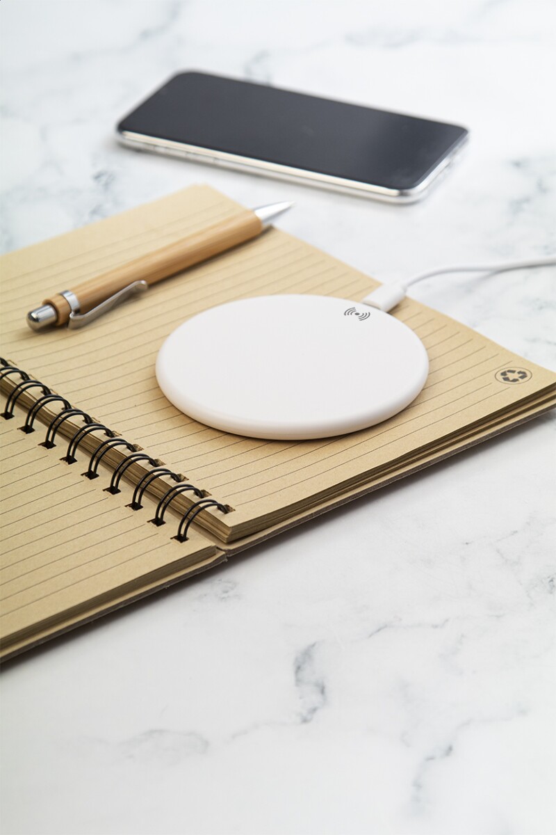 Renergy ładowarka indukcyjna RABS AP864030-01__DG2