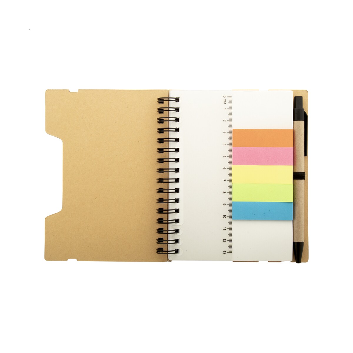 Reesy notes AP800771-00__B