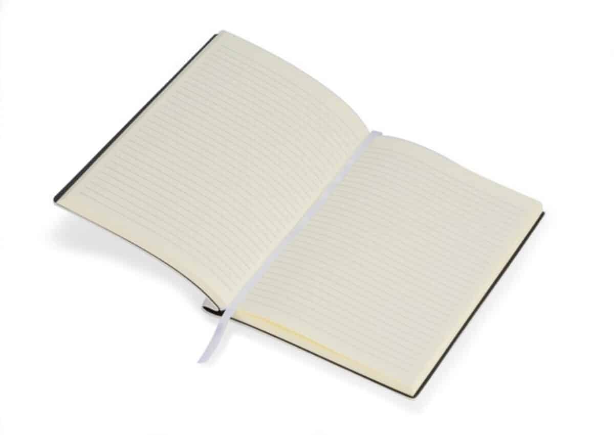 Notes BELLIS A5 17705-01_d