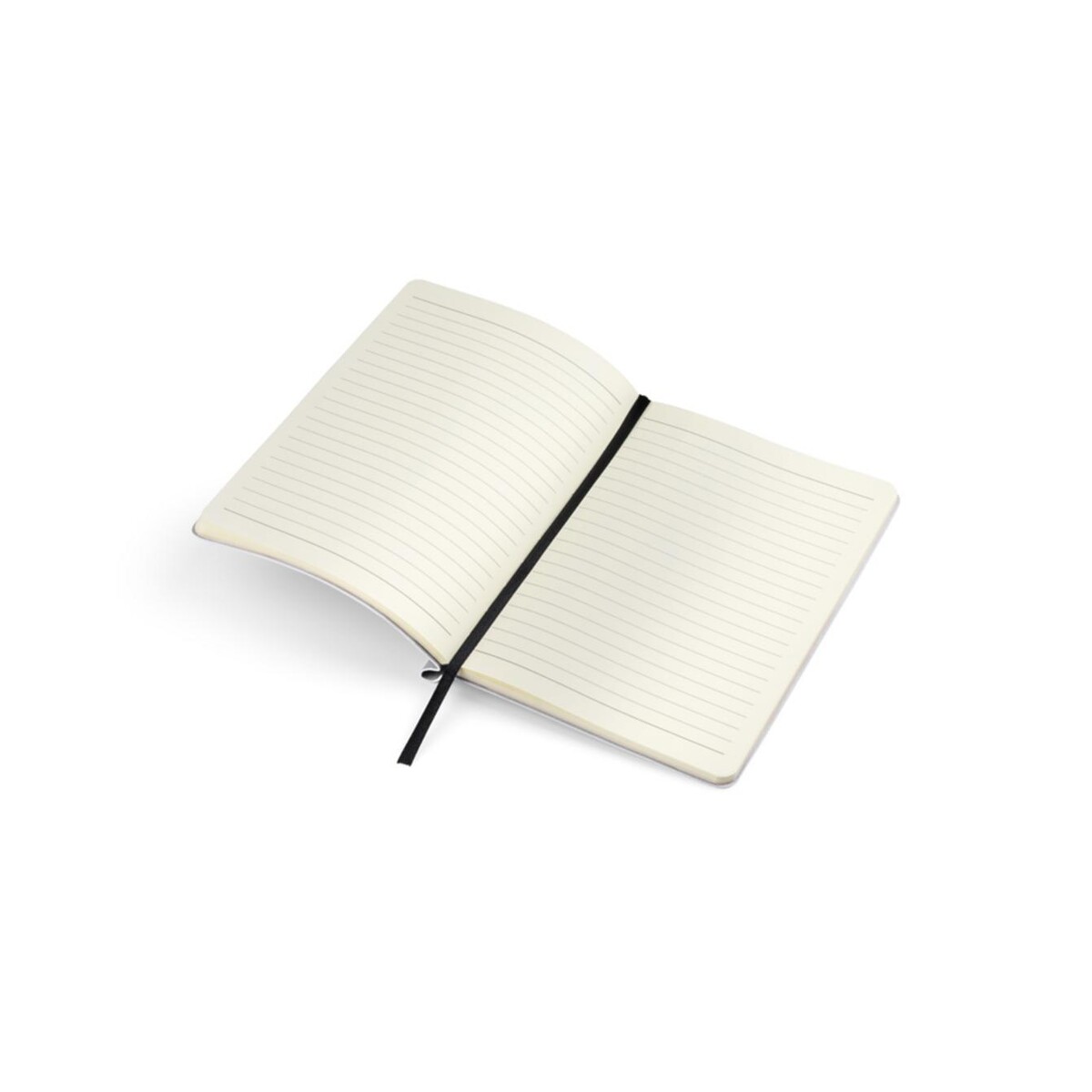 Notes MOLI A5 17678-01_d