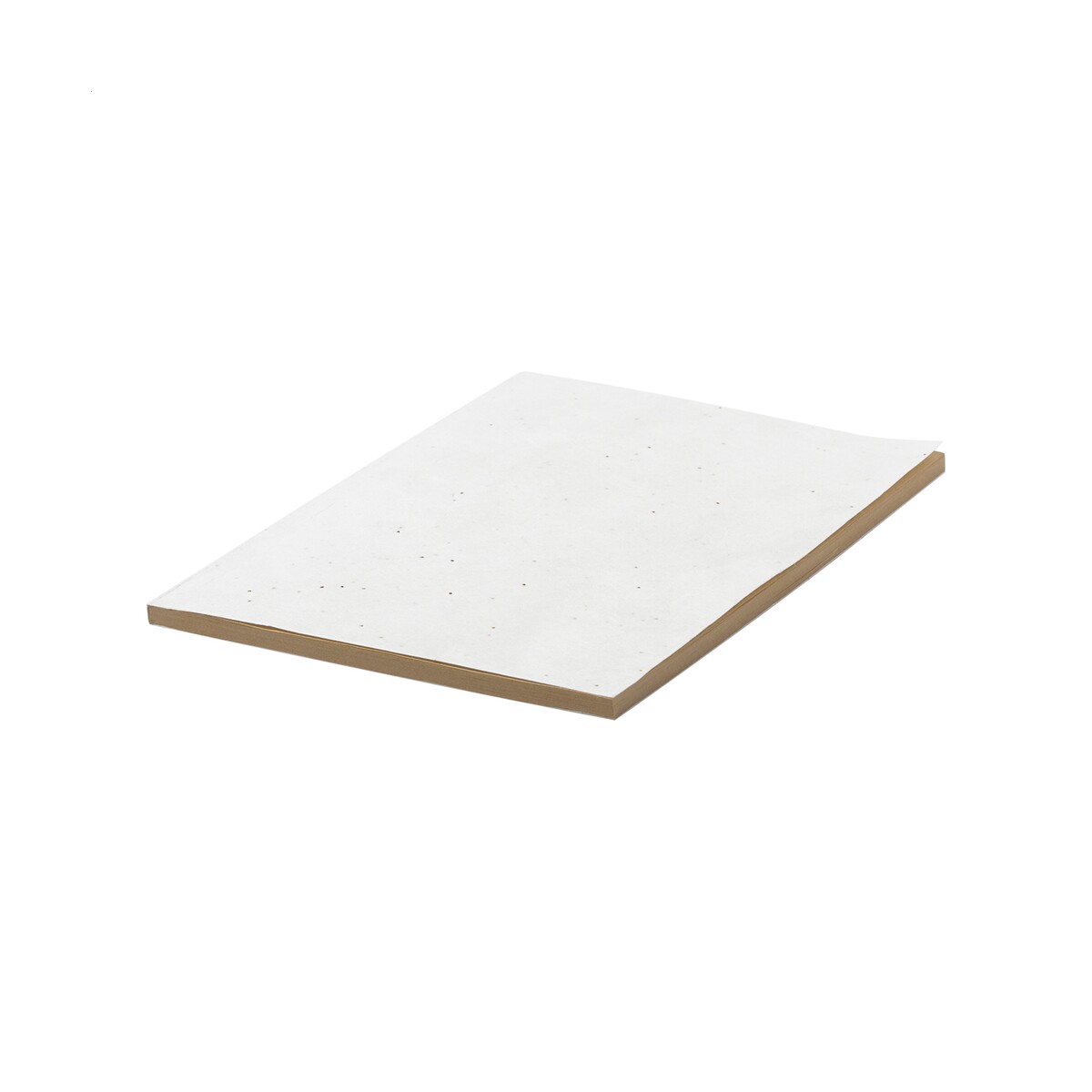 Semeno Stick notes z papieru nasiennego AP731947-01__A