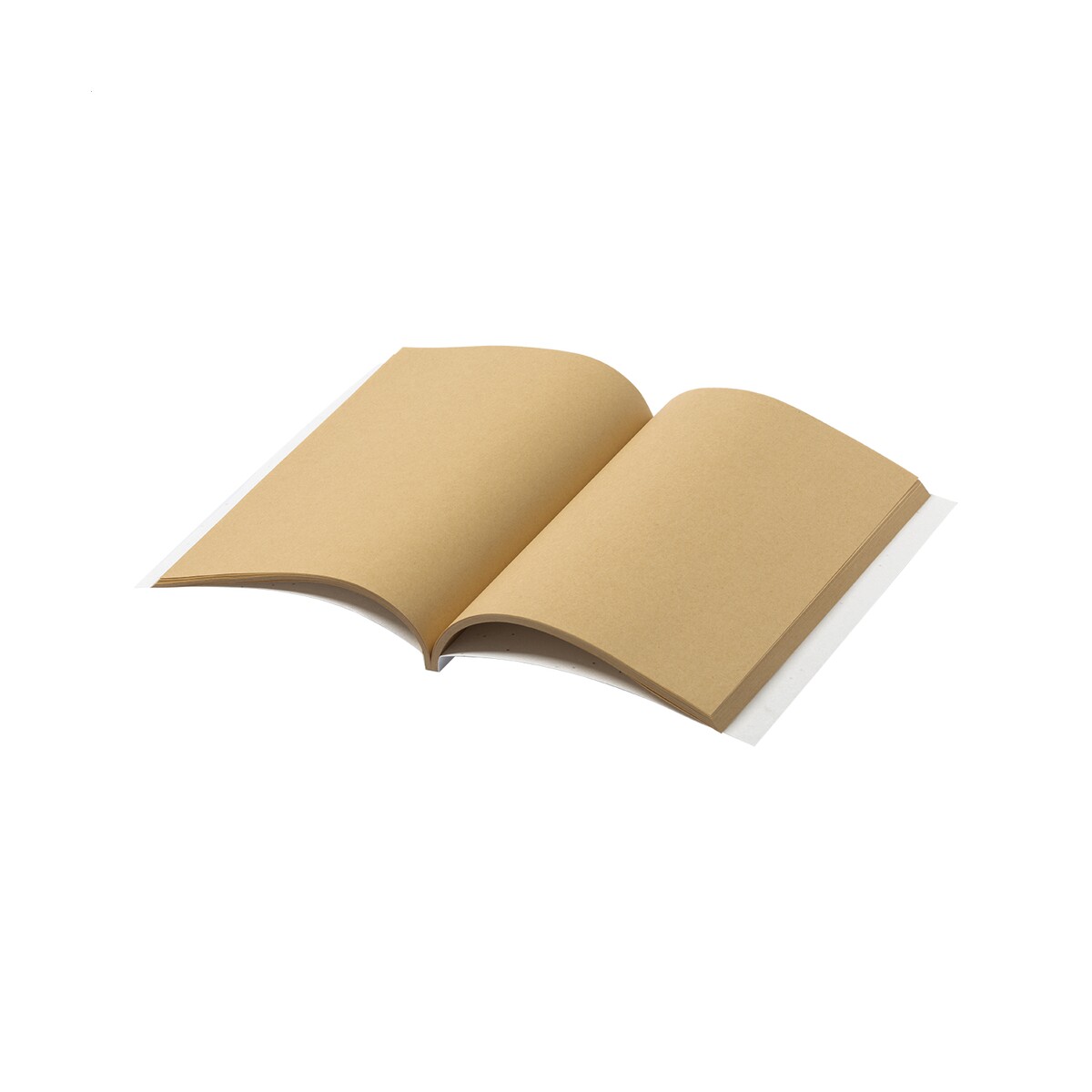 Semeno Stick notes z papieru nasiennego AP731947-01__C