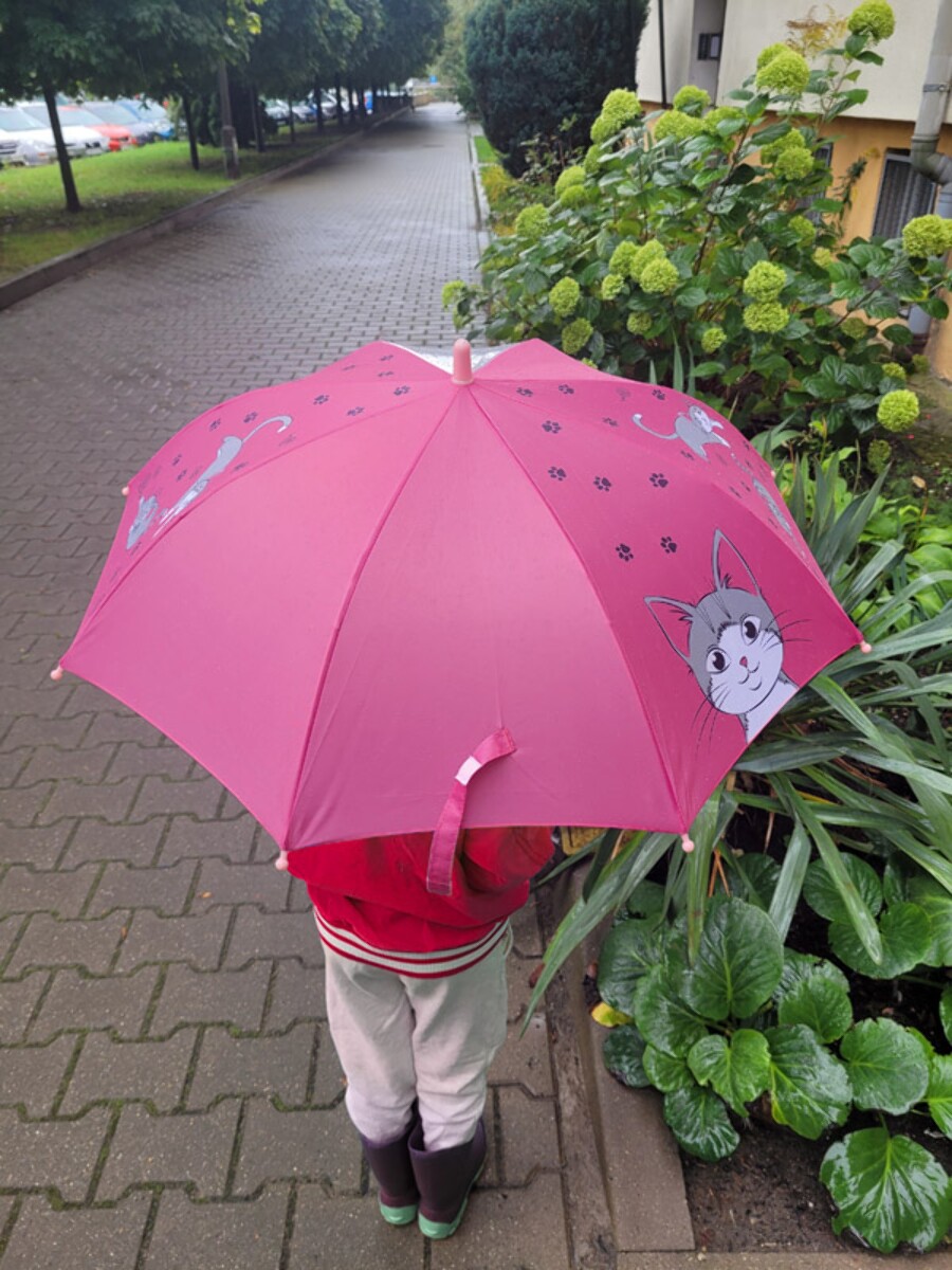 Parasol dziecięcy MIAU 37064-21_m