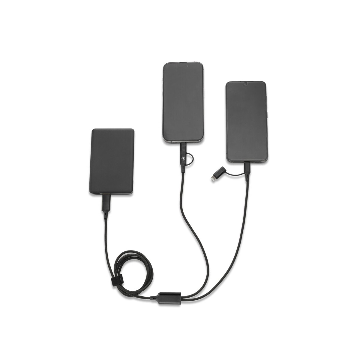 BERTOZZI 97146_103-c