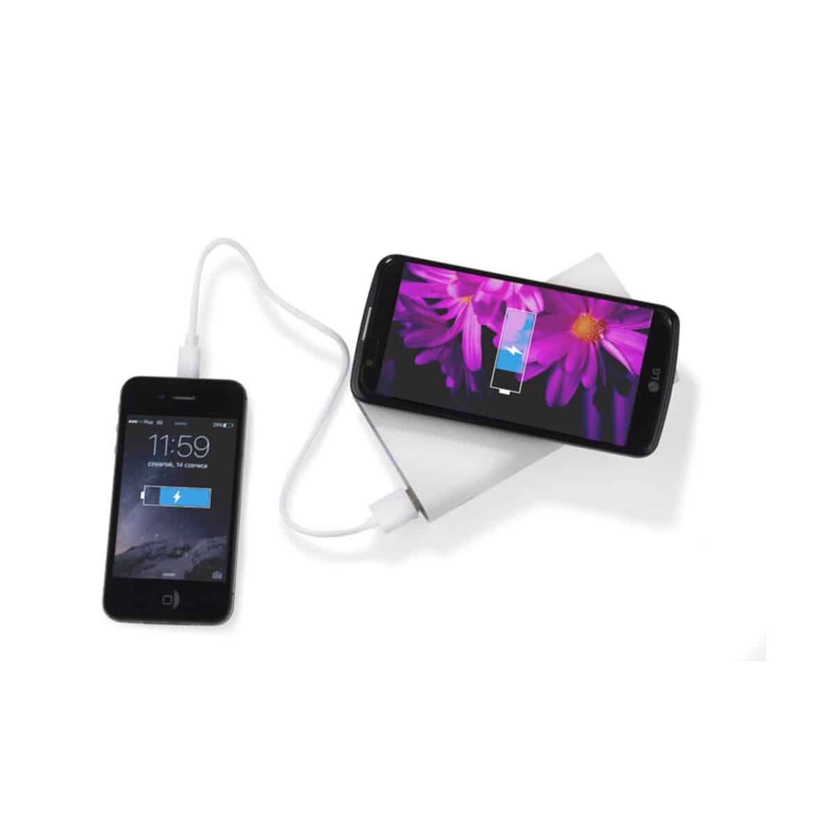Power bank DOUBLE 8000 mAh 45111-01_i