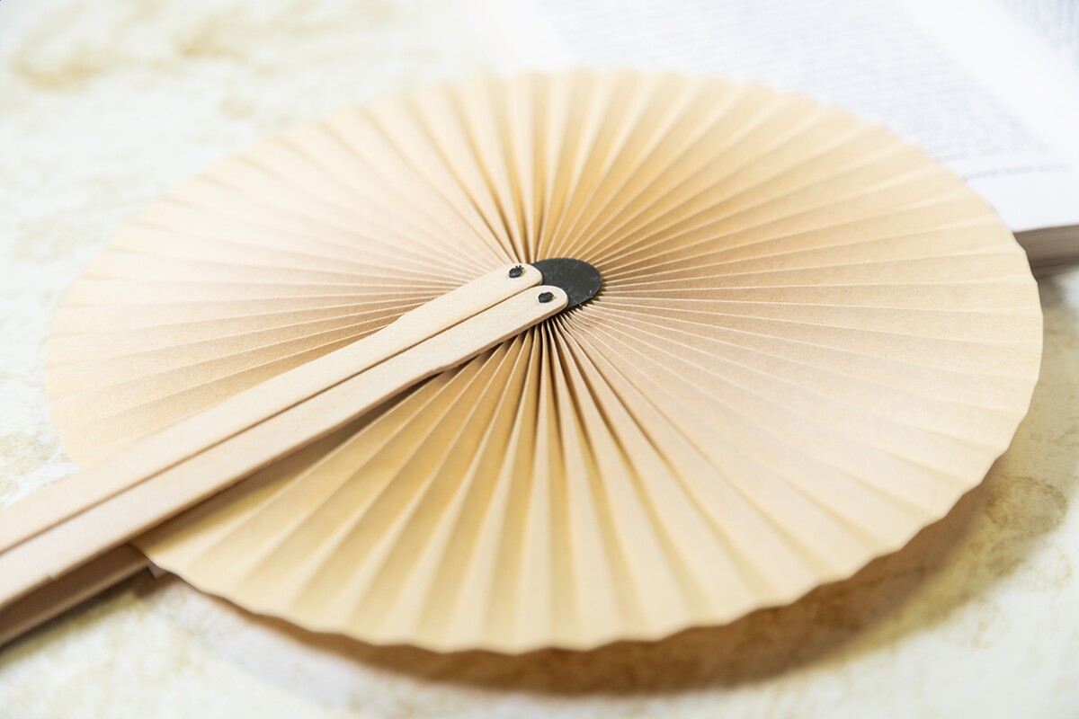 Lolli wentylator ręczny AP808293-00__DG2