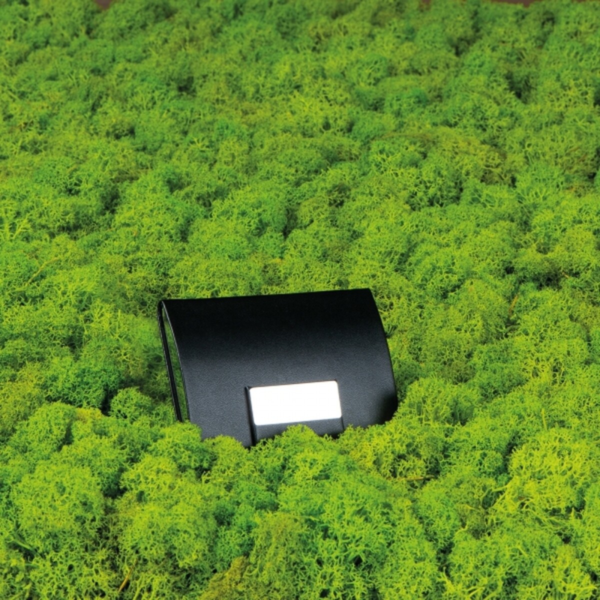 Etui na wizytówki PHILIPP etui-na-wizytowki-2850203-7
