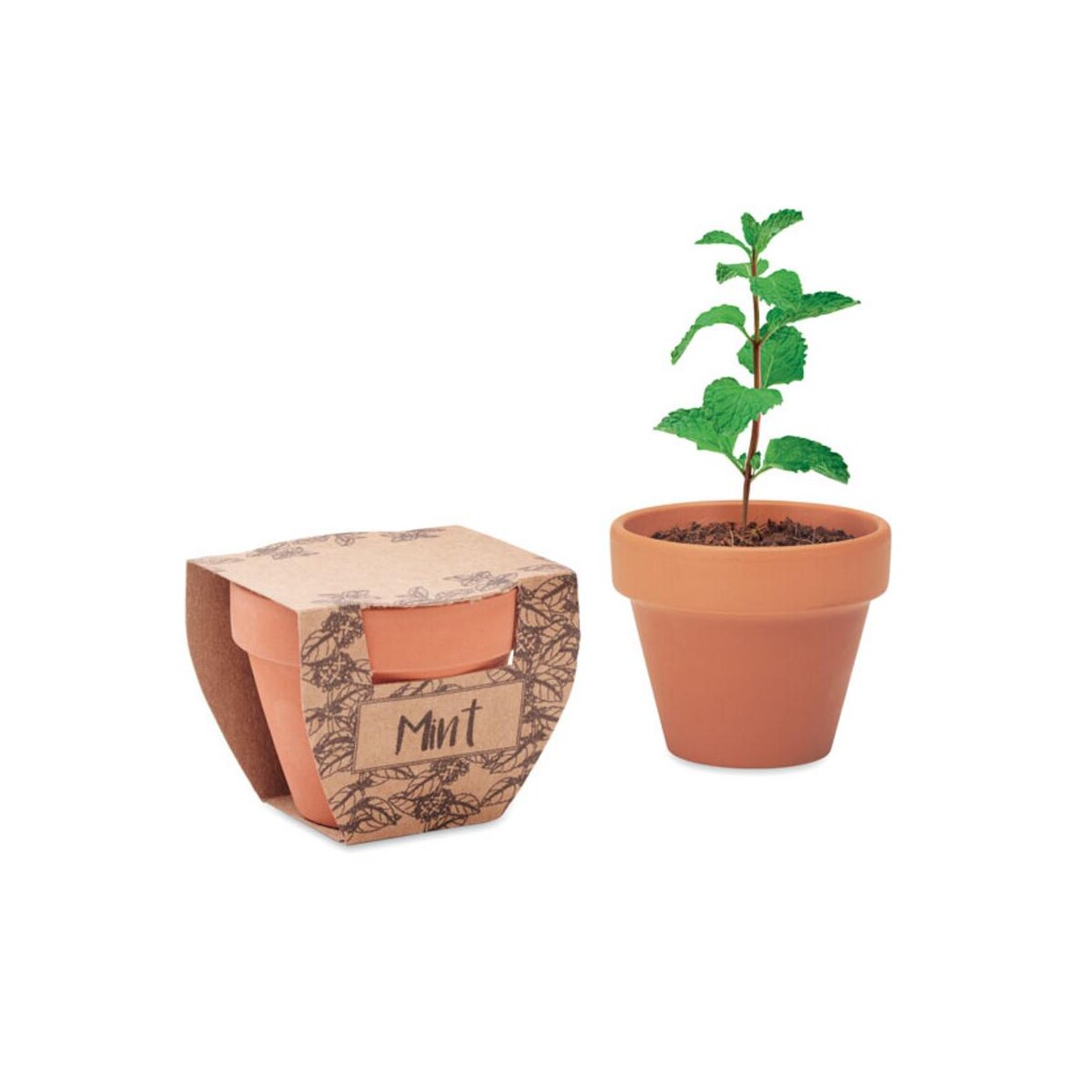 Nasiona mięty w doniczce MINT POT mo2218-40-picture1