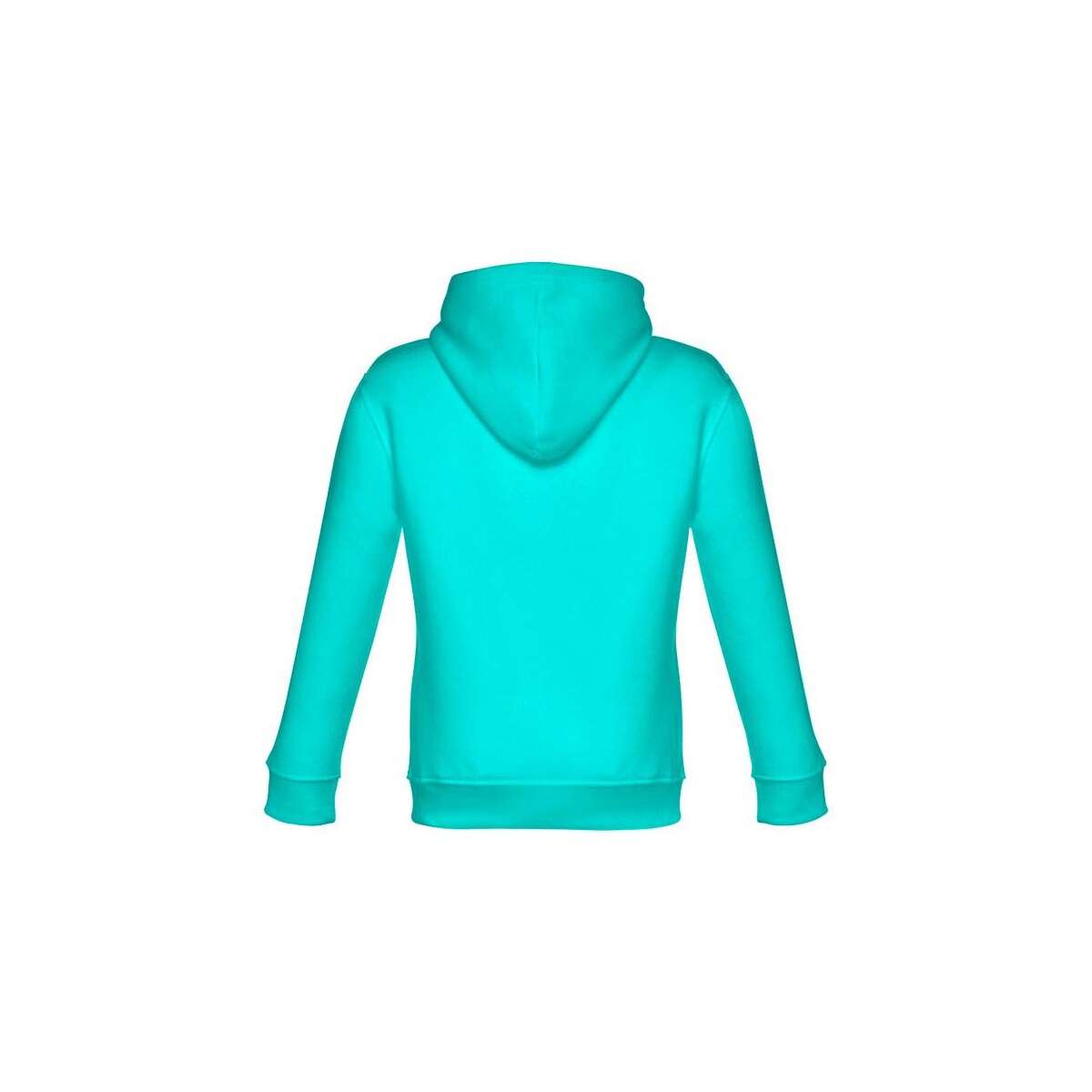 THC PHOENIX KIDS. Bluza dla dzieci (unisex) 30174_169-b