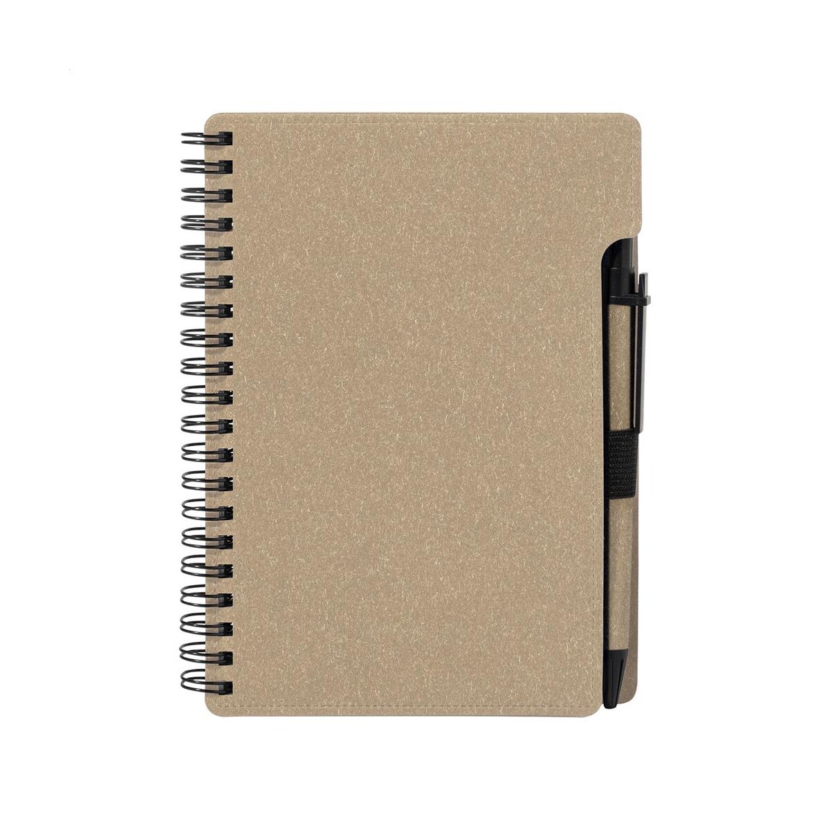 Balsamea notes AP800699-00__C