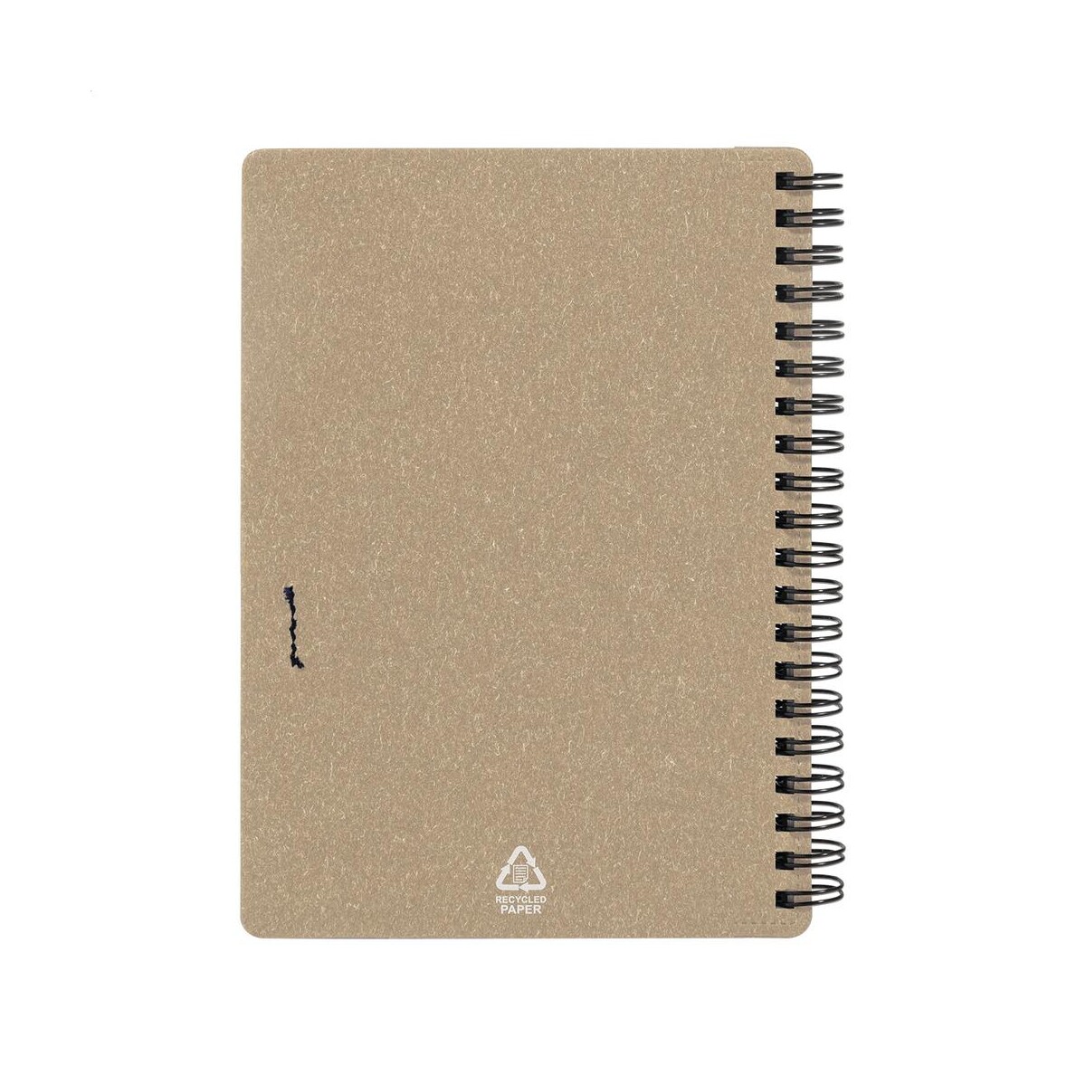 Balsamea notes AP800699-00__D