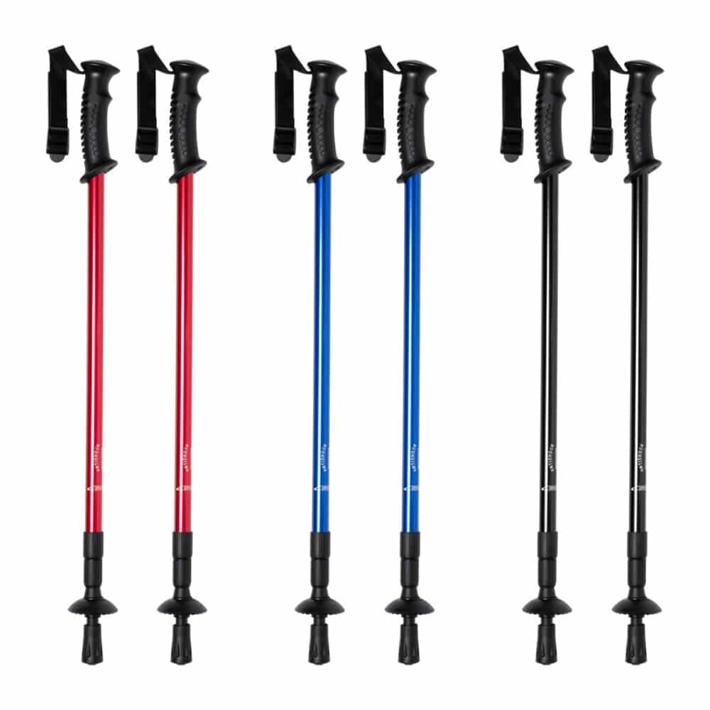 Pulpit kijki do nordic walking - warianty kolorystyczne