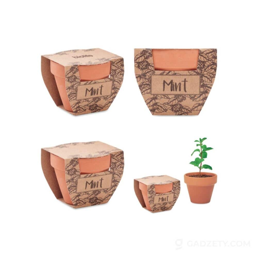 Nasiona mięty MINT POT, terakotowa doniczka
