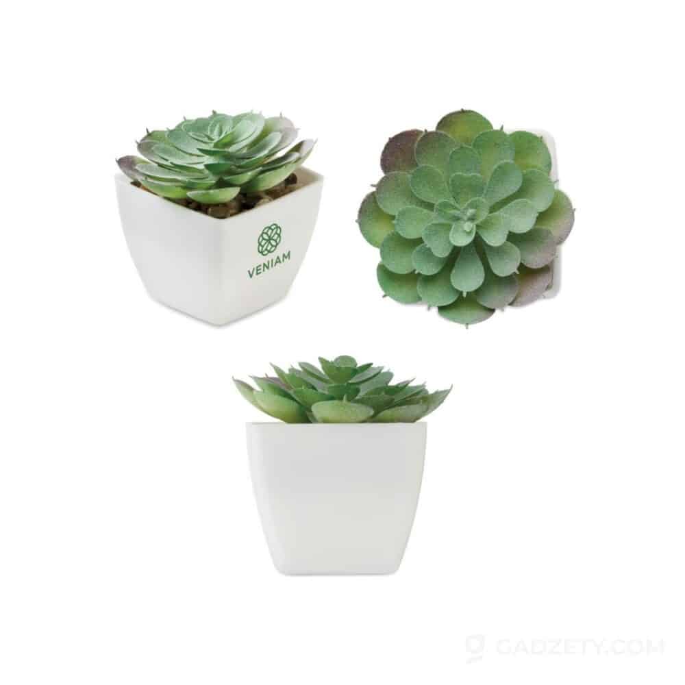 Mini sztuczna roślina Artieche Echeveria