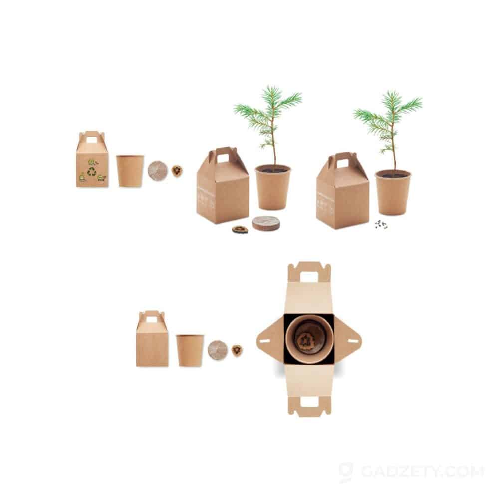 Nasiona sosny, torf, doniczka GROWTREE™