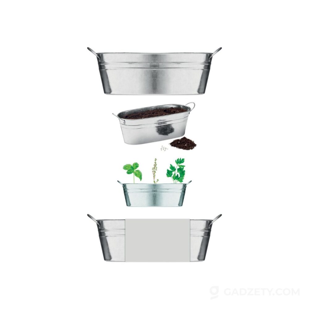 Cynkowa wanienka z nasionami MIX SEEDS