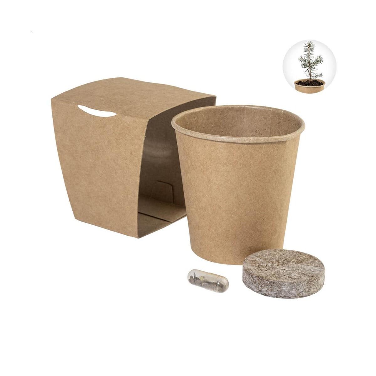 MerryGrow sada pro pěstování vánočního stromku AP757019
